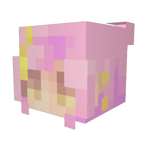Montarroyos Minecraft avatar head, 3D render