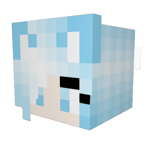MonteiroHat Minecraft avatar head, 3D render