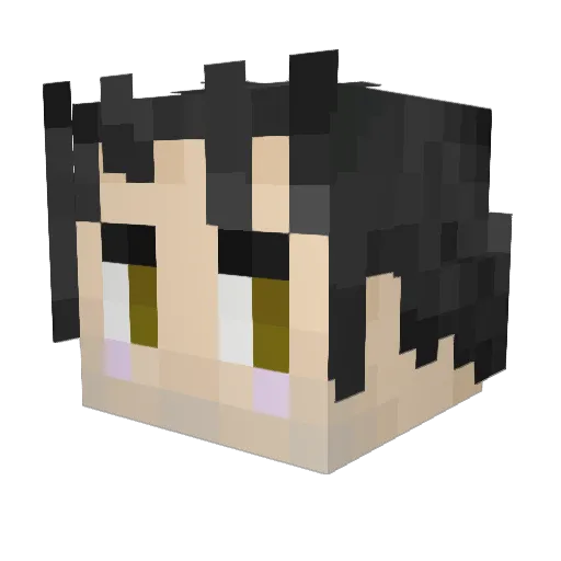 Monterealle Minecraft avatar head, 3D render