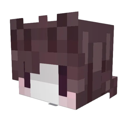 Montetsuu Minecraft avatar head, 3D render
