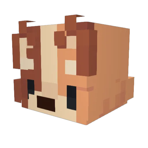 MontezumaMutt Minecraft avatar head, 3D render