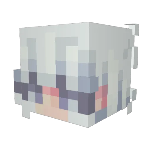 Monti27 Minecraft avatar head, 3D render