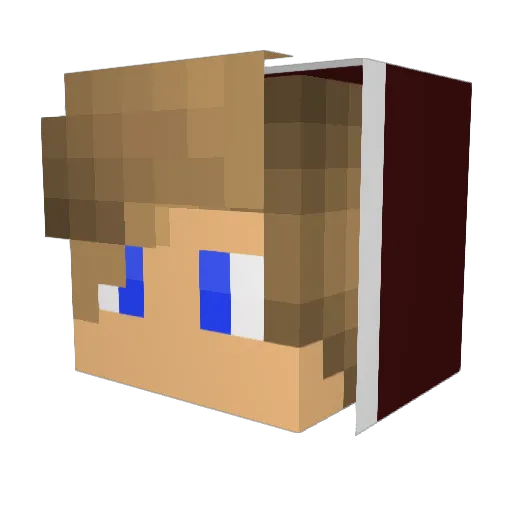 Monti410 Minecraft avatar head, 3D render