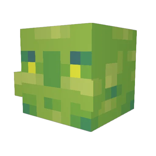 MontolioDePoochy Minecraft avatar head, 3D render