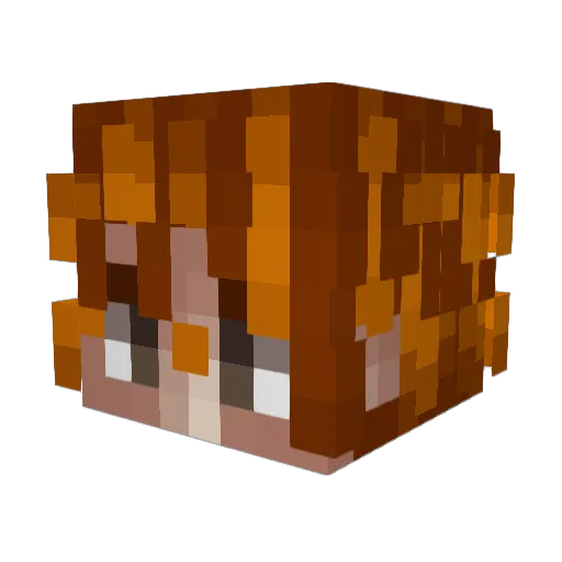 Montparnasse Minecraft avatar head, 3D render