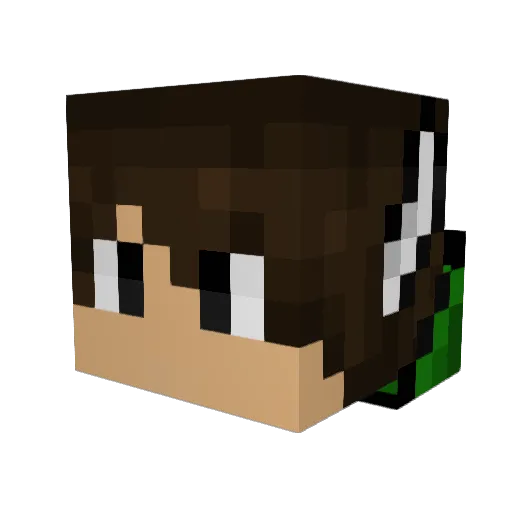 Monty623 Minecraft avatar head, 3D render