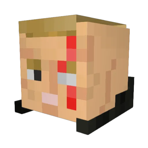 Minecraft-Avatar von MooKan: Kopf als 3D-Render