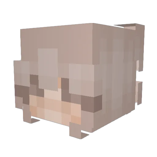 MooMooC0w Minecraft avatar head, 3D render