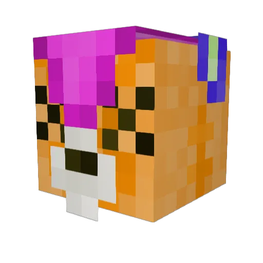 MooMooCat135 Minecraft avatar head, 3D render