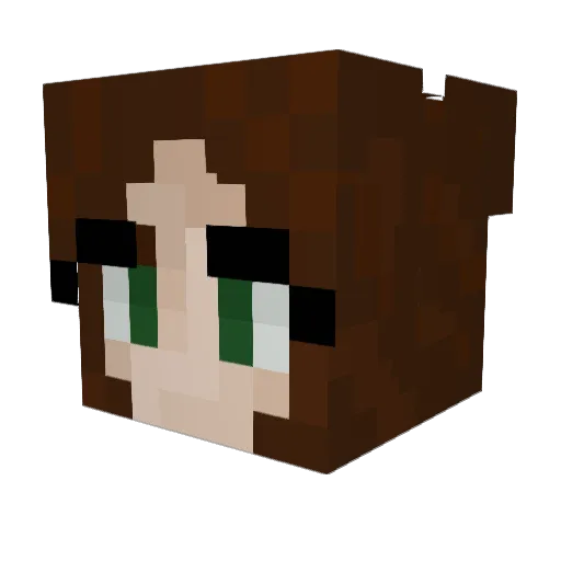 Mooch1222 Minecraft avatar head, 3D render