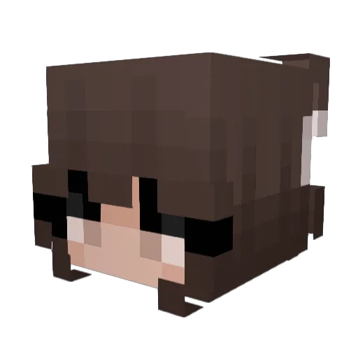 Moochi_1 Minecraft avatar head, 3D render