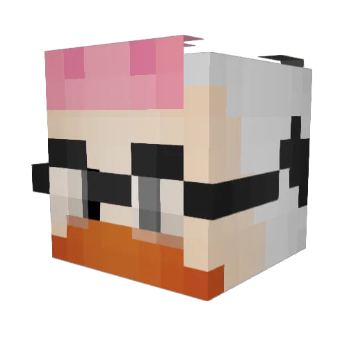 Moocow2006 Minecraft avatar head, 3D render