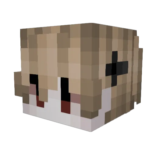 Mood89512 Minecraft avatar head, 3D render
