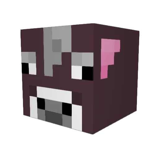 Moofish24 Minecraft avatar head, 3D render