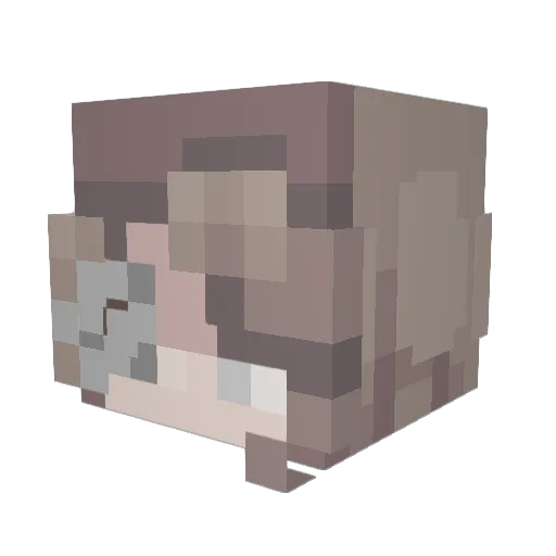 Moogma_ Minecraft avatar head, 3D render