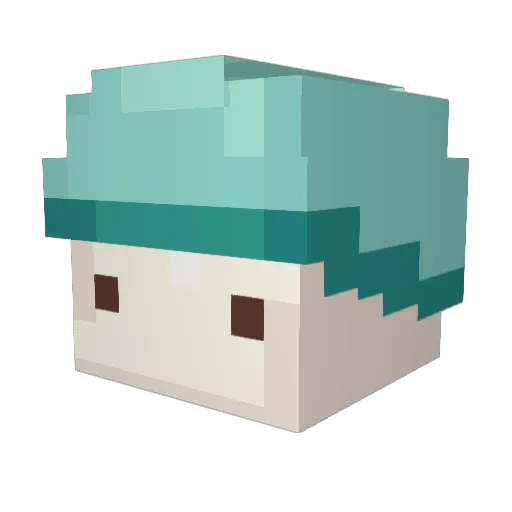 MookLee Minecraft avatar head, 3D render