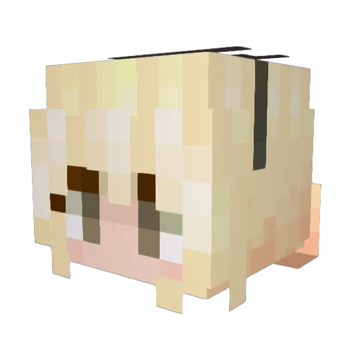 Moolee_Sun Minecraft avatar head, 3D render