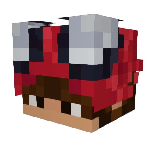 Mooles7 Minecraft avatar head, 3D render