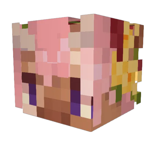 Moomellow Minecraft avatar head, 3D render