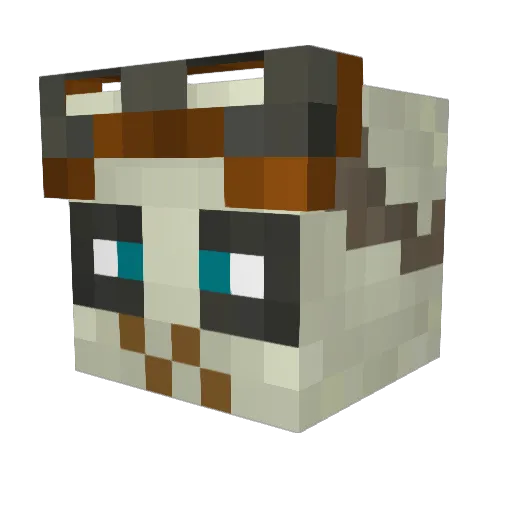 Moomin4321 Minecraft avatar head, 3D render