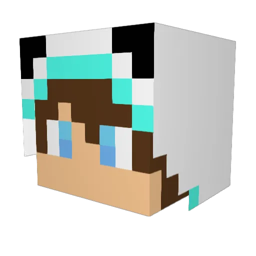 Moon1023 Minecraft avatar head, 3D render