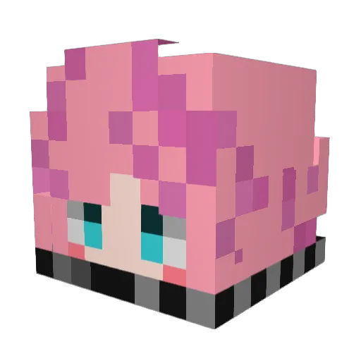 Moon1101 Minecraft avatar head, 3D render