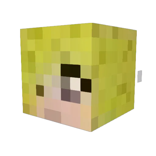 Moon1414 Minecraft avatar head, 3D render