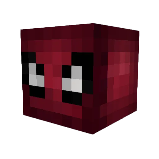 Moon888 Minecraft avatar head, 3D render