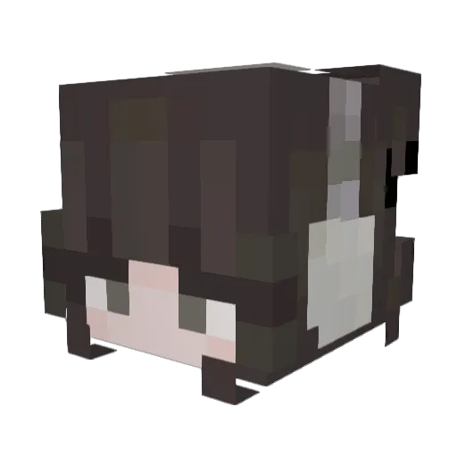 MoonDewDrop Minecraft avatar head, 3D render