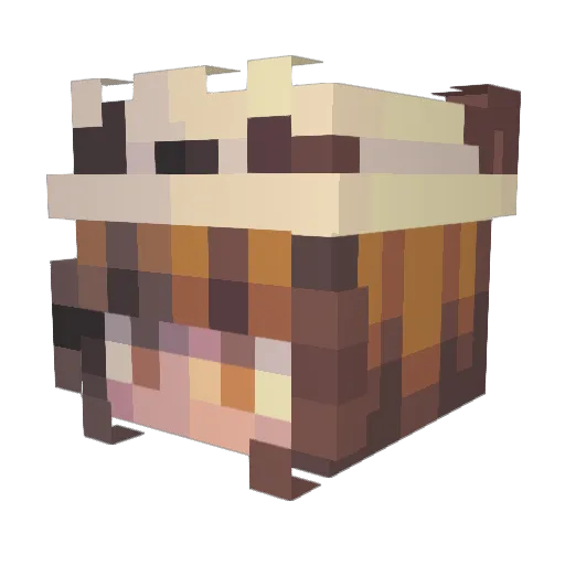 MoonEliza Minecraft avatar head, 3D render
