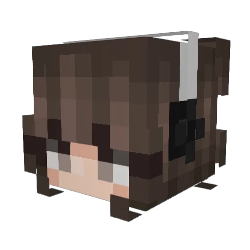 MoonFlower427 Minecraft avatar head, 3D render