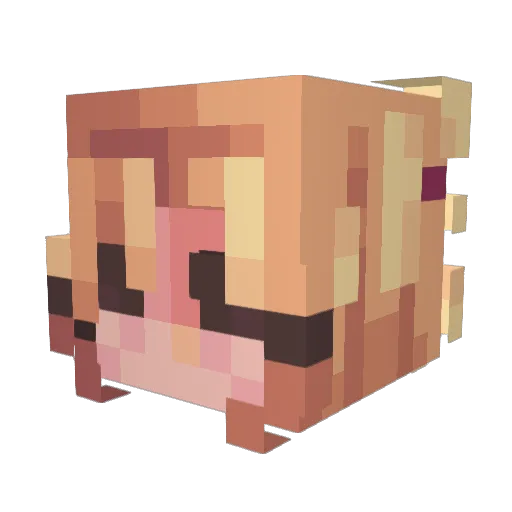 MoonGhos Minecraft avatar head, 3D render