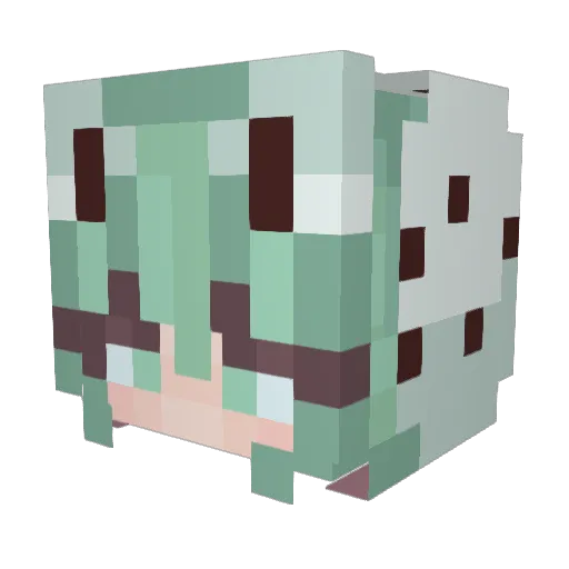 MoonKitten11 Minecraft avatar head, 3D render