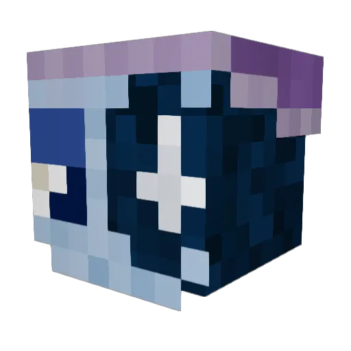 MoonKitty421 Minecraft avatar head, 3D render