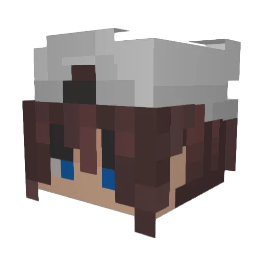 MoonKnight145 Minecraft avatar head, 3D render