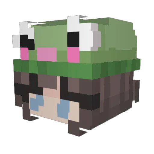 MoonLight1753 Minecraft avatar head, 3D render