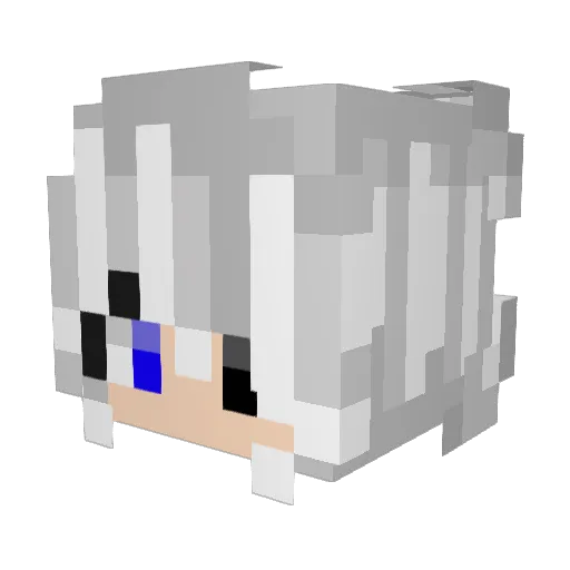 MoonLight200536 Minecraft avatar head, 3D render