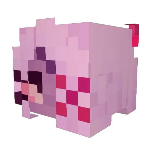 MoonNoodle25 Minecraft avatar head, 3D render