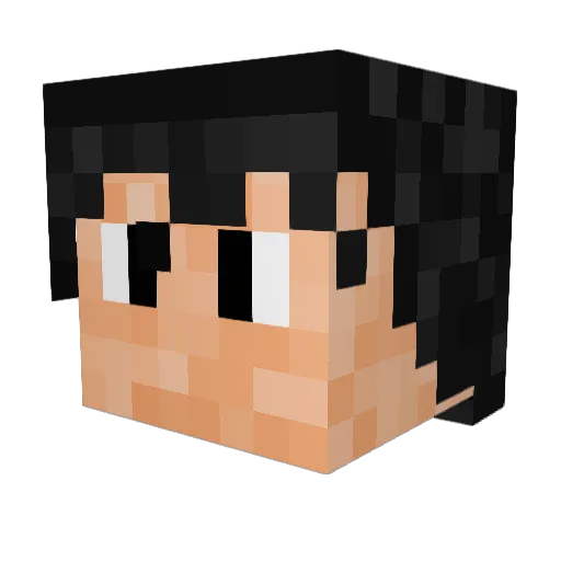 MoonShadow420 Minecraft avatar head, 3D render