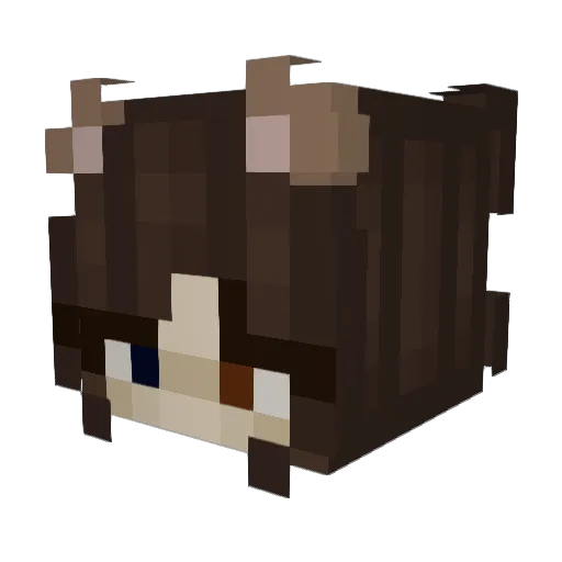MoonSnaill Minecraft avatar head, 3D render