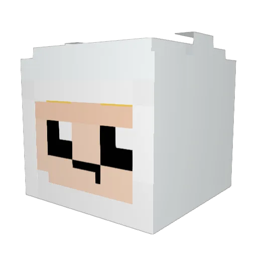MoonSocks1044 Minecraft avatar head, 3D render