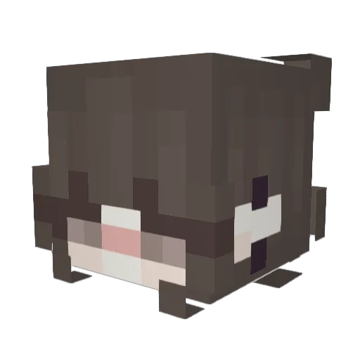 MoonStone43 Minecraft avatar head, 3D render