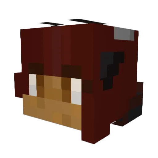 MoonTheNoon Minecraft avatar head, 3D render