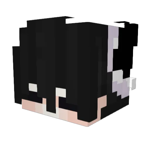 MoonWebz Minecraft avatar head, 3D render