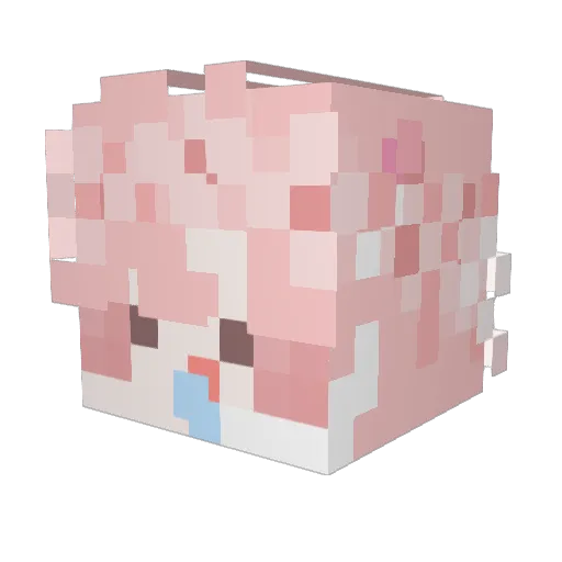 MoonWhale_1 Minecraft avatar head, 3D render