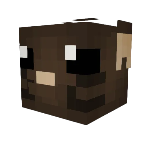Moon_CATS Minecraft avatar head, 3D render