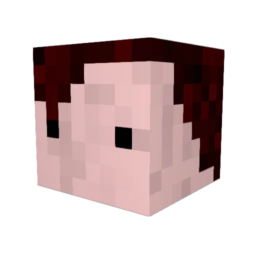 Moon_Lee Minecraft avatar head, 3D render
