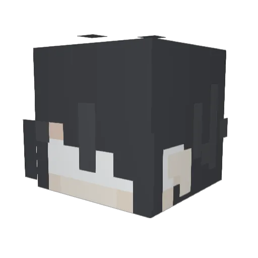 Moon_Sage64 Minecraft avatar head, 3D render