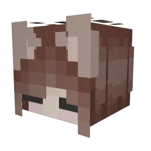 Moon_singularity Minecraft avatar head, 3D render