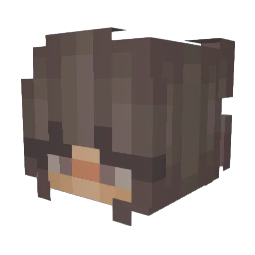 Mooncake2391 Minecraft avatar head, 3D render